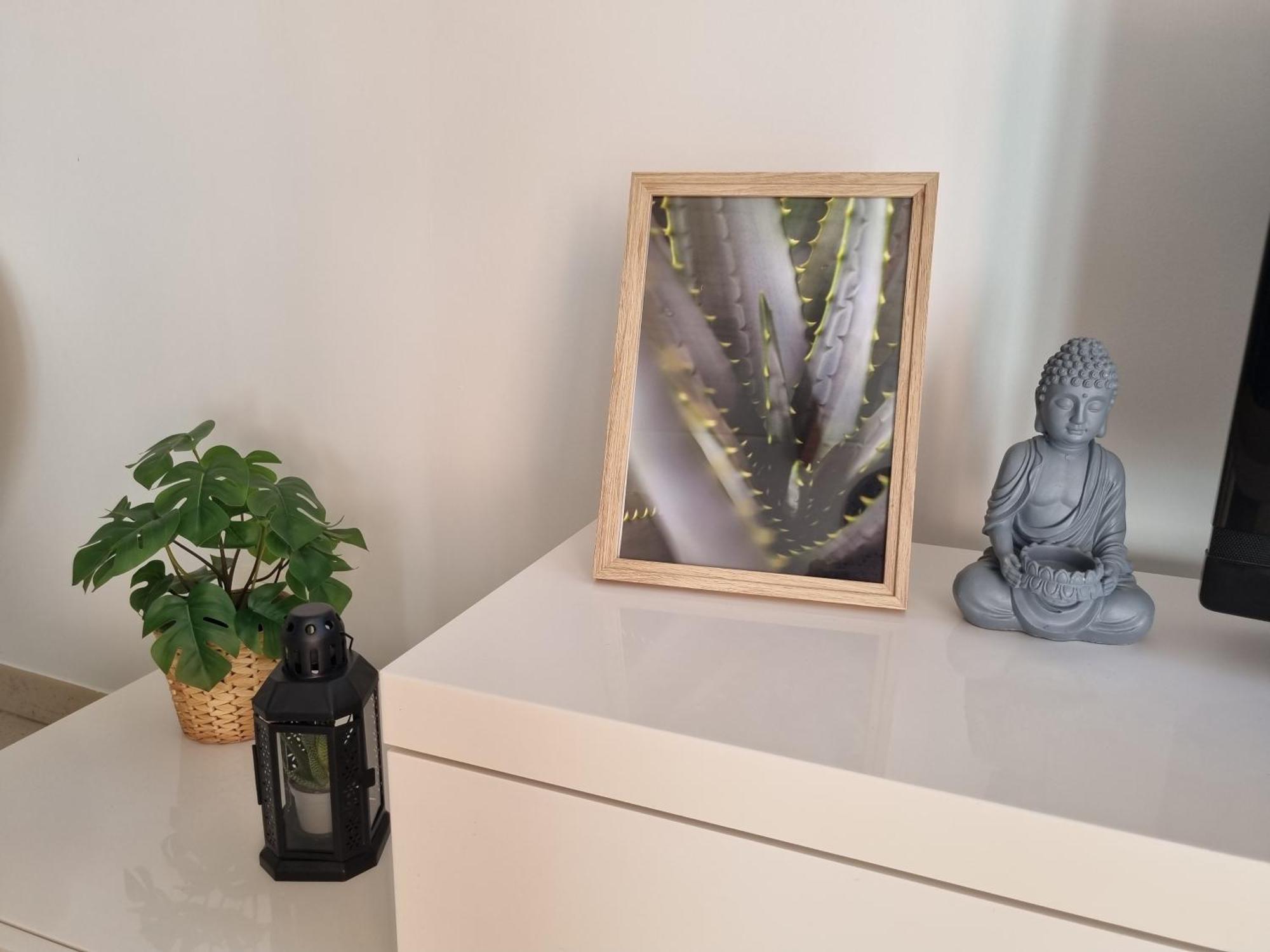 Cameos - Appartement Avec Terrasse Locairbi Le Crès Zewnętrze zdjęcie